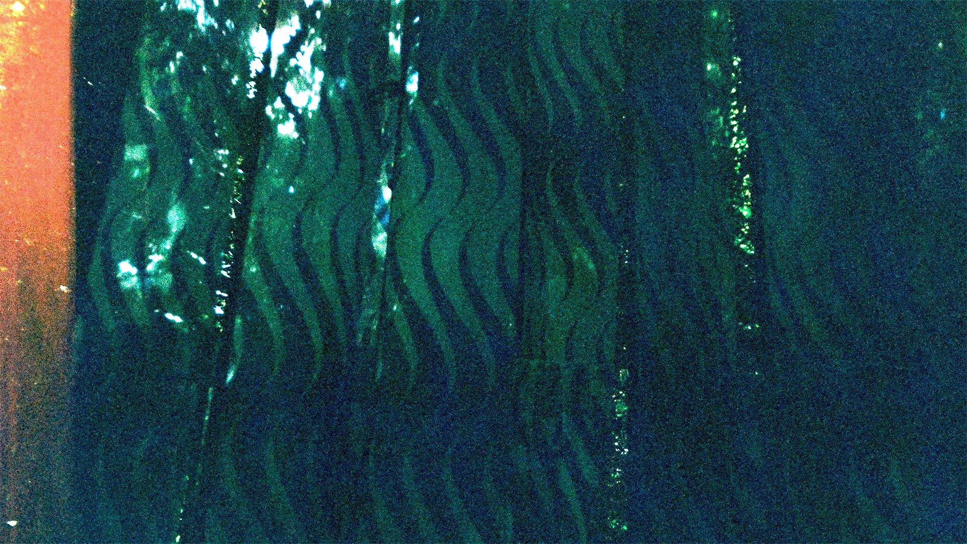 A close up of long strips of a repeat pattern on flag material. The repeat design is seagreen and ultramarine blue waves. 